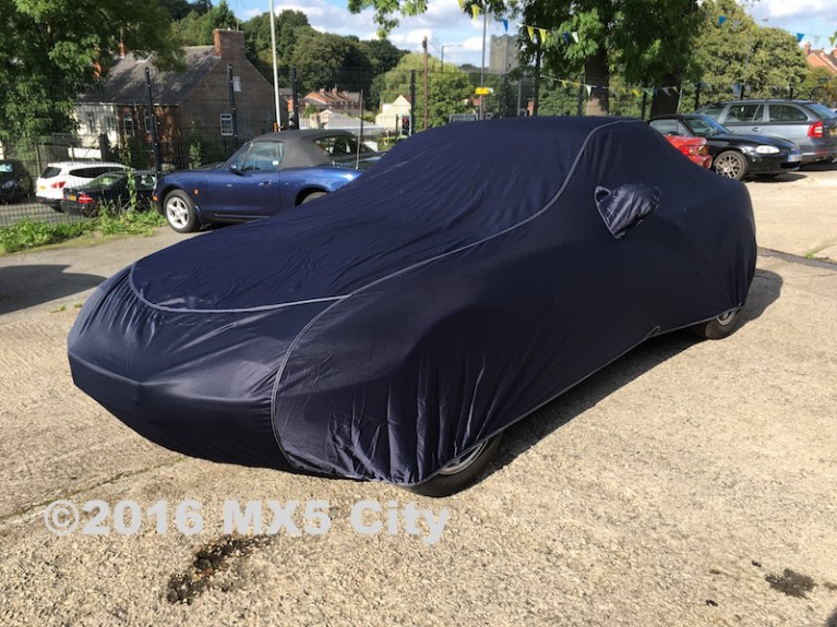 Indoor Car Cover