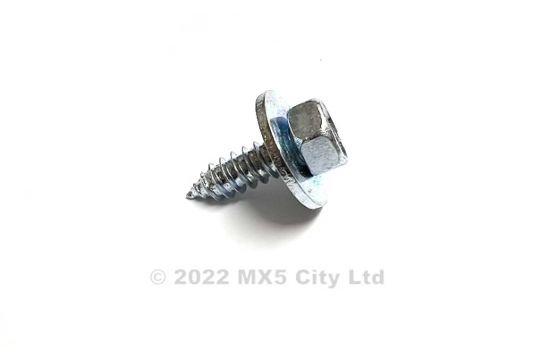 10mm hex head Acme screw (plated)